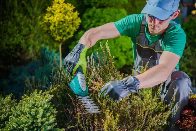 landscaping services Doe Run